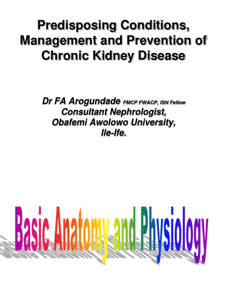 Management and Prevention of CKD | PDF | Chronic Kidney Disease | Renal ...