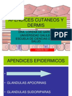 Apendices cutáneos y estructuras de la piel