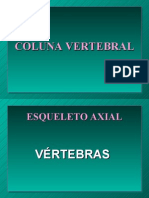 COLUNA VERTEBRAL