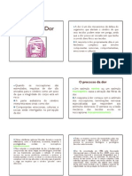 Fisiologia Da Dor PDF