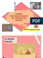 EL_RN_CAMBIOS_ANATOMOFISIOLOGICOS.pp.pdf