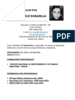 Curriculum Vitae - Eric Joelcruz Bobadilla