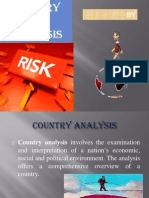 Country Risk Analysis