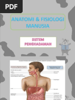 Download Anatomi Dan Fisiologi Manusia - Digestive Sistem Sistem Pencernaan by Anna J SN133330239 doc pdf