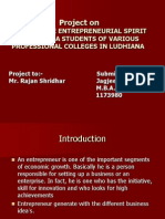 Final Project Report Entrepreneurship