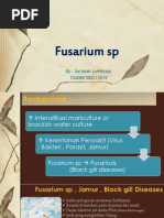 Download Fusarium Sp by Saidah Luthfiyah Bakhri SN133348520 doc pdf