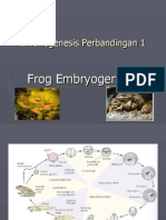 11 Frog Embriogenesis
