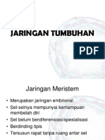 JARINGAN TUMBUHAN