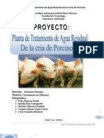 Tratamiento AR Porcina, Proyecto