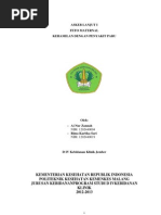 Download Kehamilan Dengan Gangguan Paru by aibarneysoleha SN133372751 doc pdf