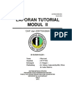 Laporan Individu