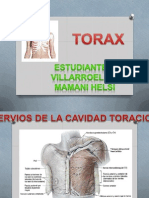 Torax