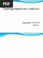 C and C++ Report