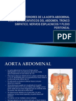 3.4 Circulacion Arterial y Venosa Intraabdominal