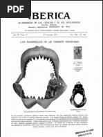 Iberica _ Tiburones