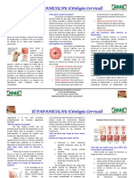 Trifoliar Cancer Cervical