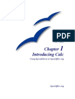 0301CG IntroducingCalc PDF