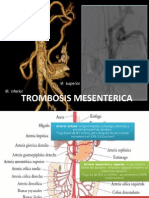 trombosismesenterica-120511183432-phpapp01 (1)