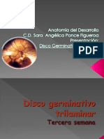 disco germinativo trilaminar .pptx