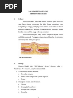 Download LAPORAN PENDAHULUAN HERNIAdoc by Ipul Bebek Adus Kali SN133527747 doc pdf