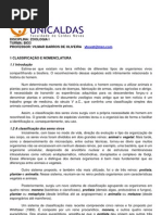 CLASSIFICAÇÃO E NOMENCLATURA 
