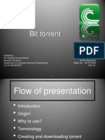Bit Torrent (0911012065)