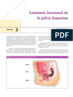 Anatomía funcional pelvis femenina