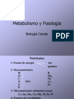 metabolismo_fisiologia