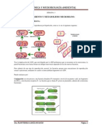 Metoodos Directtos El Weno PDF