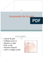 Anatomia de La Piel