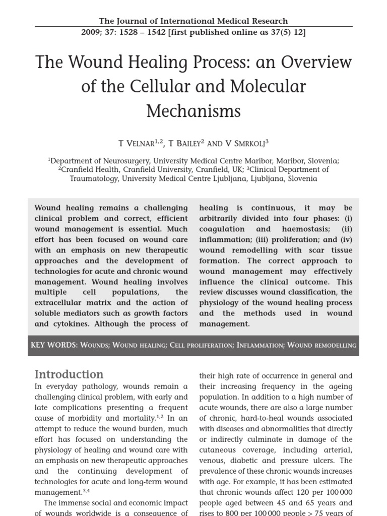 The Wound Healing Process | Wound Healing | Extracellular Matrix