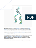 DNA Replication: From Wikipedia, The Free Encyclopedia