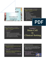Week 8 Stem Cell Lecture Overview