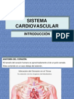 Sistema Cardiovascular