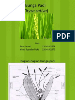 Presentasi Bunga Padi