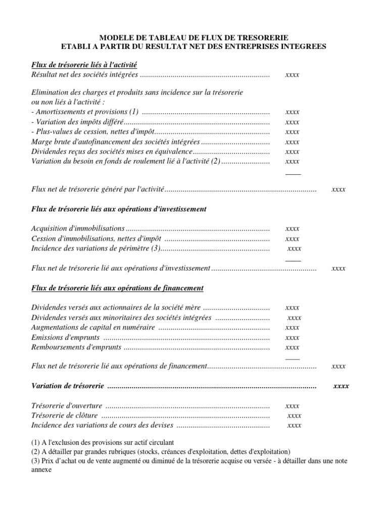 Modele de Tableau de Flux de Tresorerie | Dividende | Immobilisations