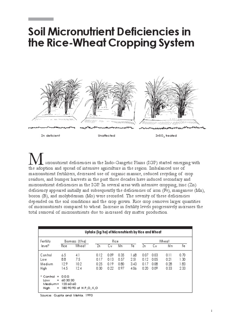 Micronutrient Deficiencies in Rice-Wheat System | PDF | Micronutrient ...