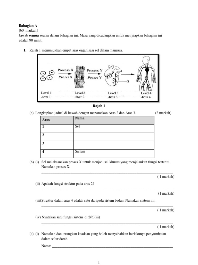 Soalan Peperiksaan Akhir Tahun Biologi Tingkatan 4 