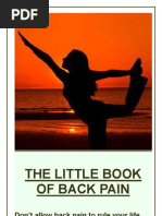 Download BACK PAIN by Dean Amory SN13359547 doc pdf