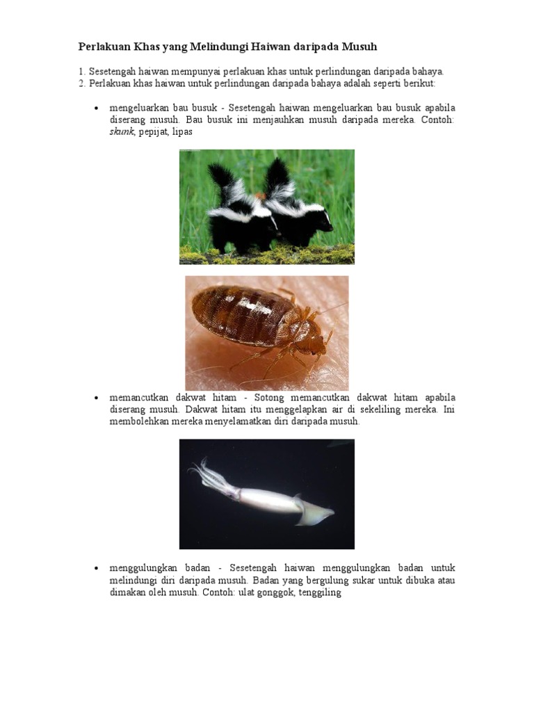 Perlakuan Khas Yang Melindungi Haiwan Daripada Musuh Pdf