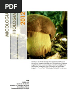 Micologia & Fitologia