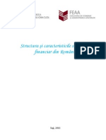 Structura Si Caracteristicile Sistemului Financiar Din Romania