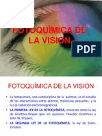 Fotoquímica de la visión: procesos químicos y leyes fundamentales