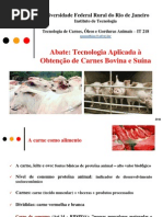 Abate Bovinos e Suinos 2