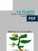 La Planta