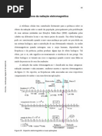 Efeitos Biológicos da radiação