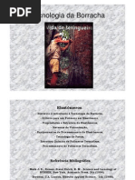 Microsoft PowerPoint - Borracha