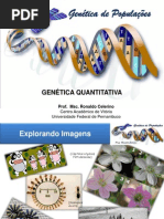 Aula10 Genticadepopulaes Genticaquantitativa 120531211640 Phpapp02