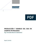 Manejo Del Gas en Campos Petroleros