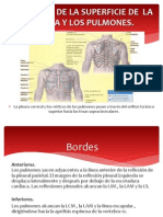 Musculos Del Torax - Pulmones, Pleura, Mediastino
